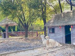 -昆山城市生态森林公园