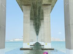 -中澳友谊花园