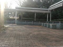 -吴淞炮台湾湿地森林公园烧烤区