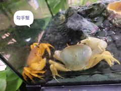 -山东省科技馆(新馆)