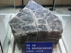 -青藏高原自然博物馆