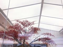 -艾薯夫妇Aysh(福田星河COCOPark店)