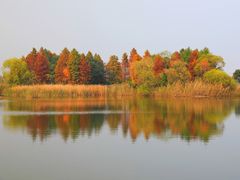 -贡湖湾湿地公园