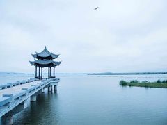 -淄博花灯齐彩城