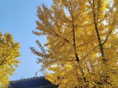 -无锡惠山寺