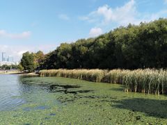 -长春市南湖公园