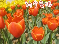 -西宁市人民公园(城西区)