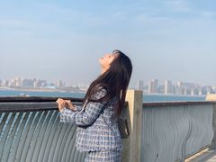 -星光岛