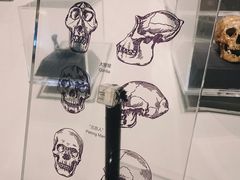-北京周口店北京人遗址博物馆