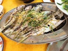 -大湾区中央湿地公园-十九涌