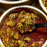 长沙之光‼️坠好吃的海鲜外卖当数他家🦞