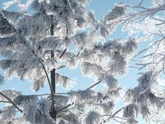 -圣·阿列克谢耶夫教堂