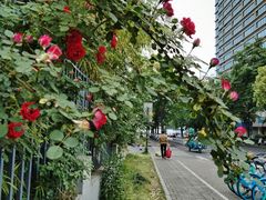 -杭州观成实验学校