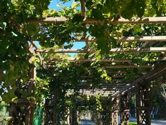 -北京张裕爱斐堡酒庄