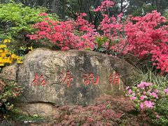 -临平公园(临平街道)