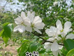 -国家植物园南园