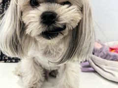 -FAELING PETS美天灵宠物(富力广场店)