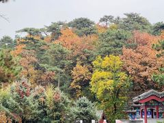 -红螺寺