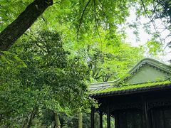 -峙山公园