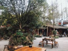 -青城甲(青城山店)