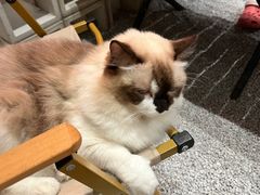 -seeu coffee(江滩店)