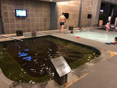 -和园景逸大酒店朗月汤泉