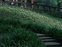 -青城山