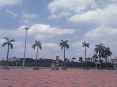 -奥林匹克体育中心游泳馆