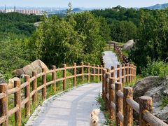 -白水寺森林公园