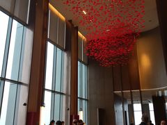 -嘉定凯悦·咖啡厅