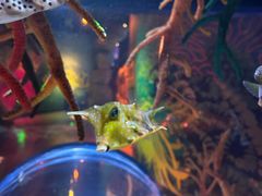 -沈阳海洋探索中心