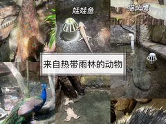 -青青世界