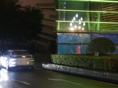 -重庆市江北嘴中央商务区中央公园