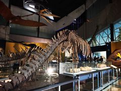 -湖南省地质博物馆