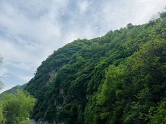 -沣峪口