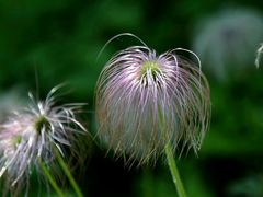 -重庆雨台山风景区