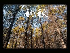 -白草畔自然风景区