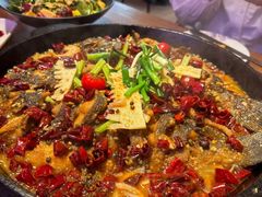 -老板恋上鱼(恒隆广场店)