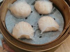 虾饺-添好运点心专门店(深水埗店)