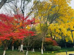 -杭州城北体育公园