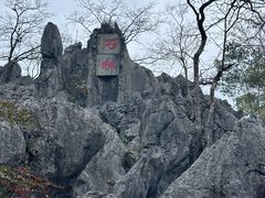 -千岛湖石林