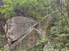 -王顺山国家森林公园