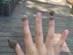 -国家植物园南园