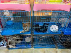 -宠爱我(南山店)