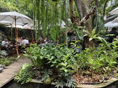 -Fern Forest Cafe