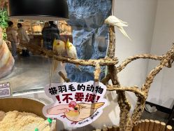-Zoolung Zoolung动物主题公园(海信广场店)