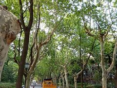 -华东政法大学(松江校区)