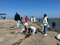 -日照灯塔风景区