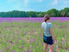 -山明水秀大饭店