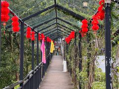 -广东天露山旅游度假区